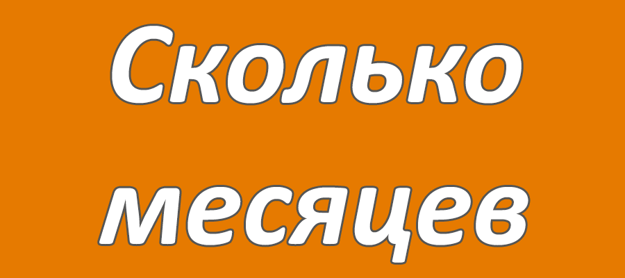 Сколько месяцев